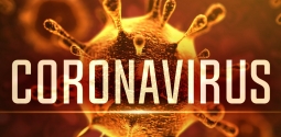 Coronavírus (COVID-19): cuidados e recomendações